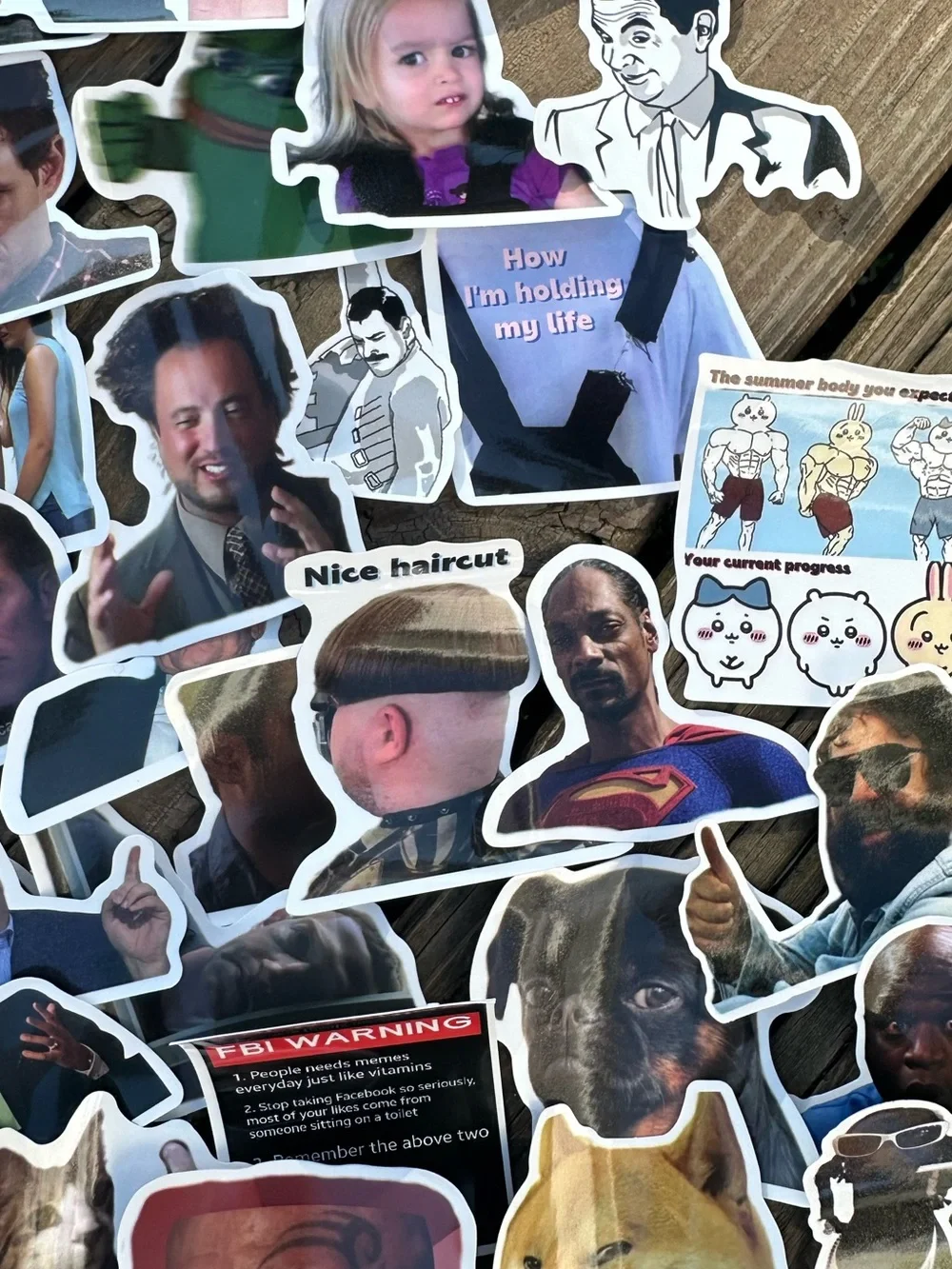 BUY NOW 50 Pc Random Mix Funny/Snarky Meme Waterproof Stickers